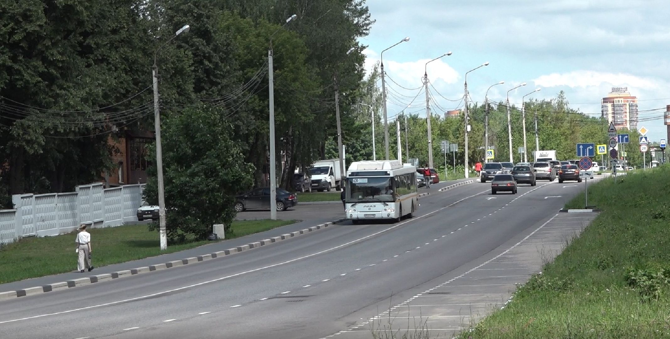 рейд Такси, Гаи, Домодедово, незаконные возчики,