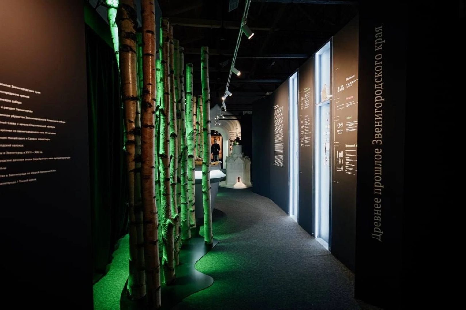 Звенигород, Культура, Каникулы в манеже,