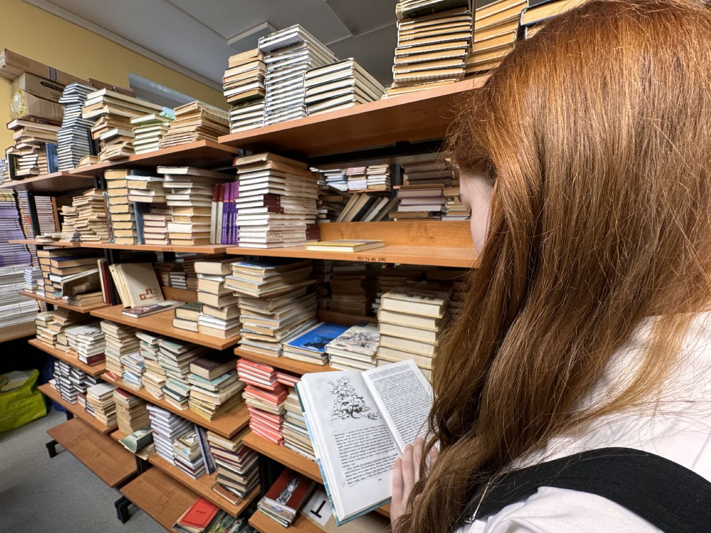 Одинцово, 100 баллов по егэ, образование,