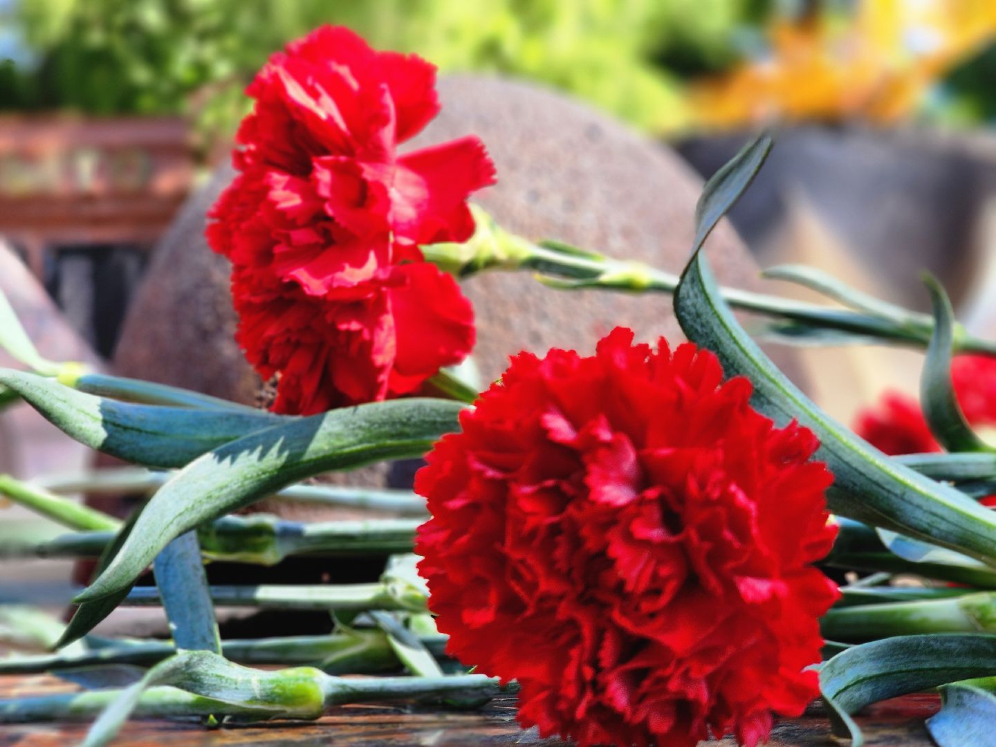 день памяти и скорби, 22 июня, вов, великая отечественная война, руза, рузский городской округ, ветеран вов,