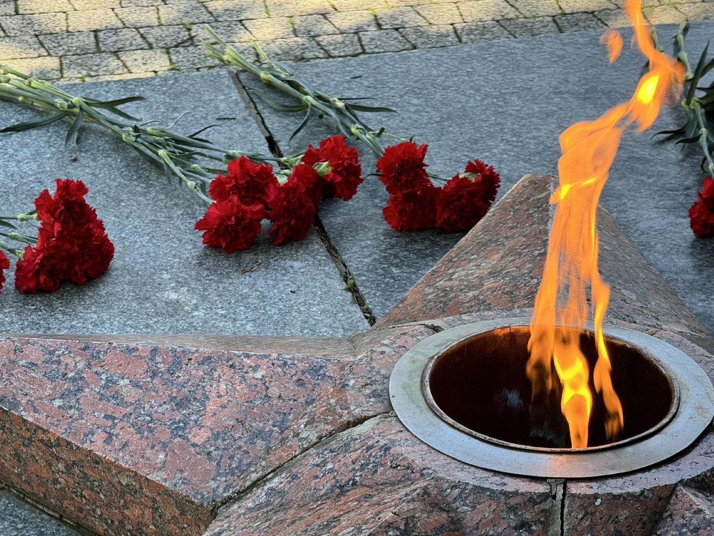 шаховская, день памяти и скорби, музей, памятная дата,