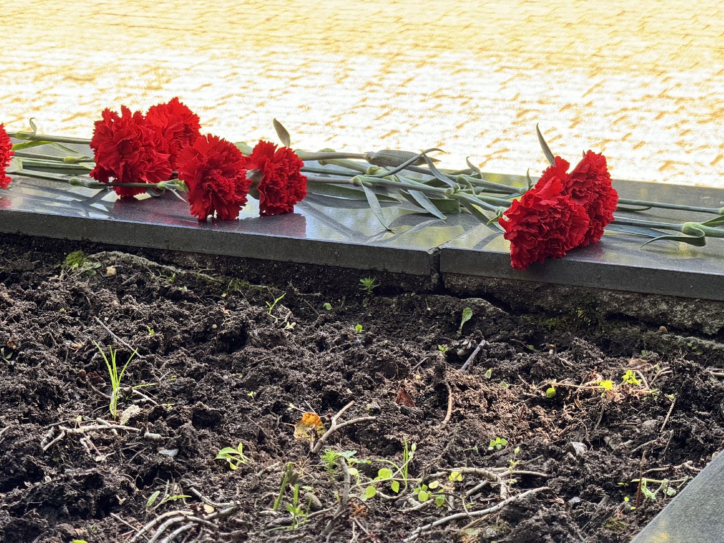 шаховская, день памяти и скорби, музей, памятная дата,