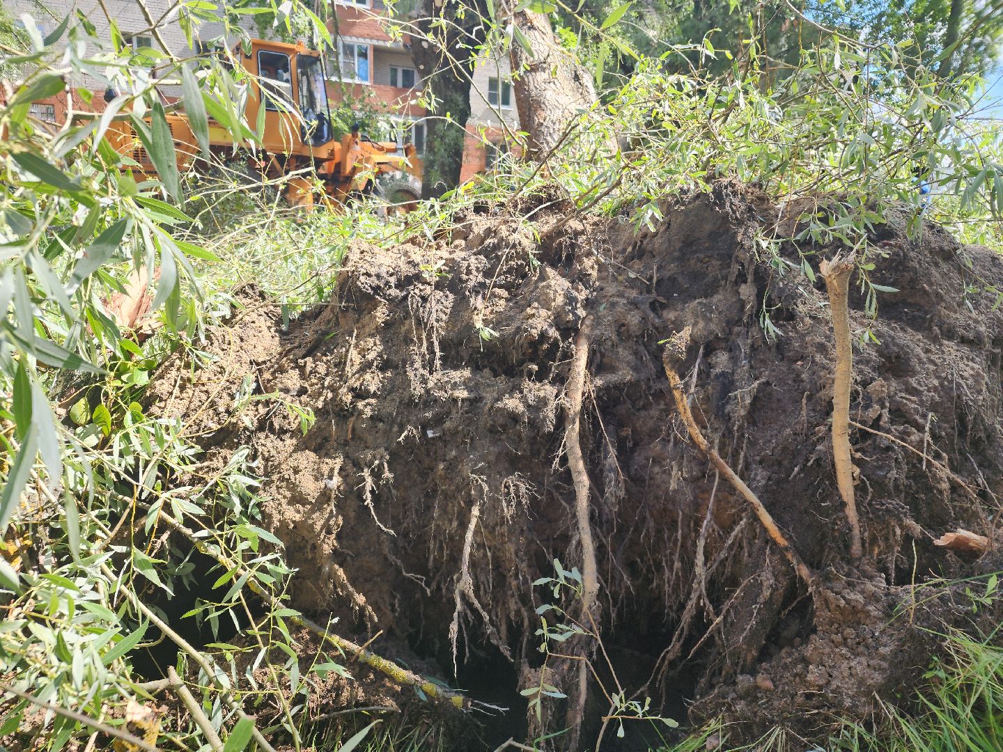 устранение последствий урагана, орехово-зуевский округ,
