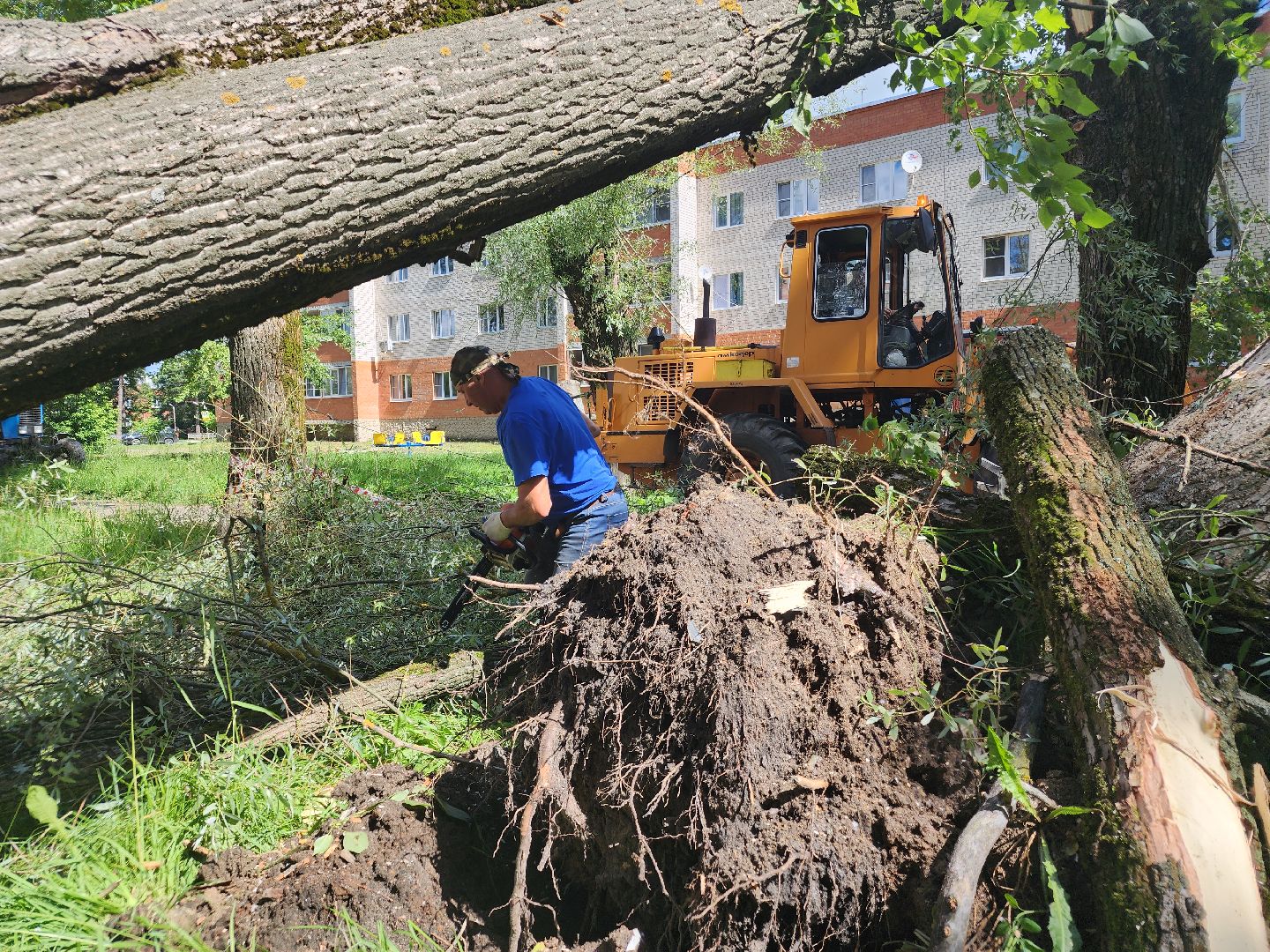 устранение последствий урагана, орехово-зуевский округ,