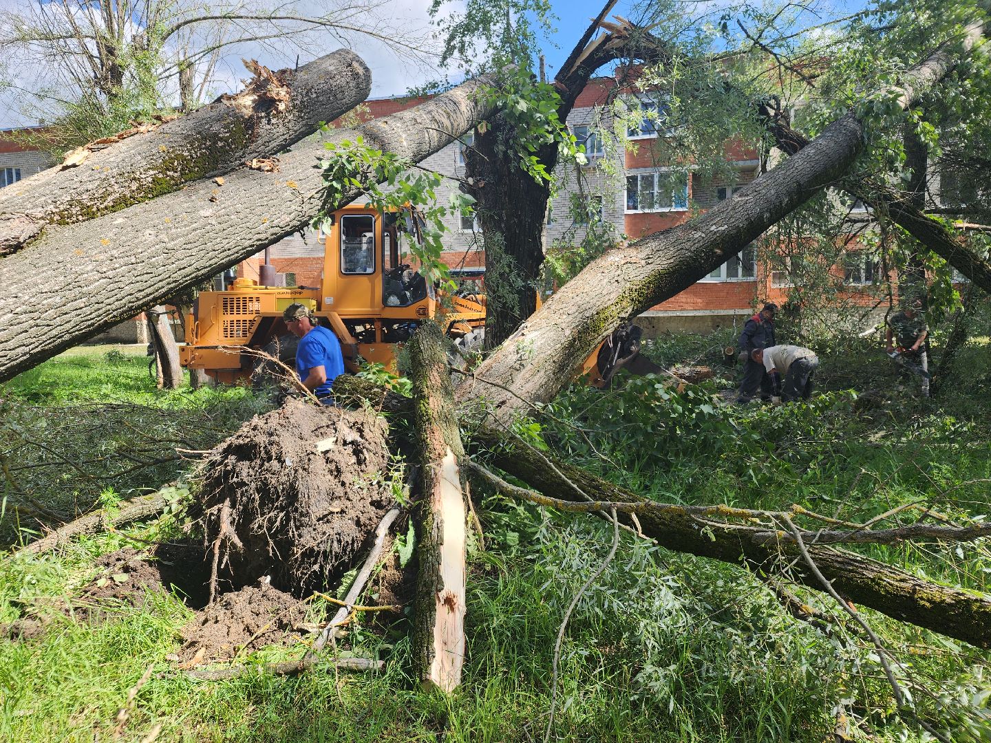 устранение последствий урагана, орехово-зуевский округ,
