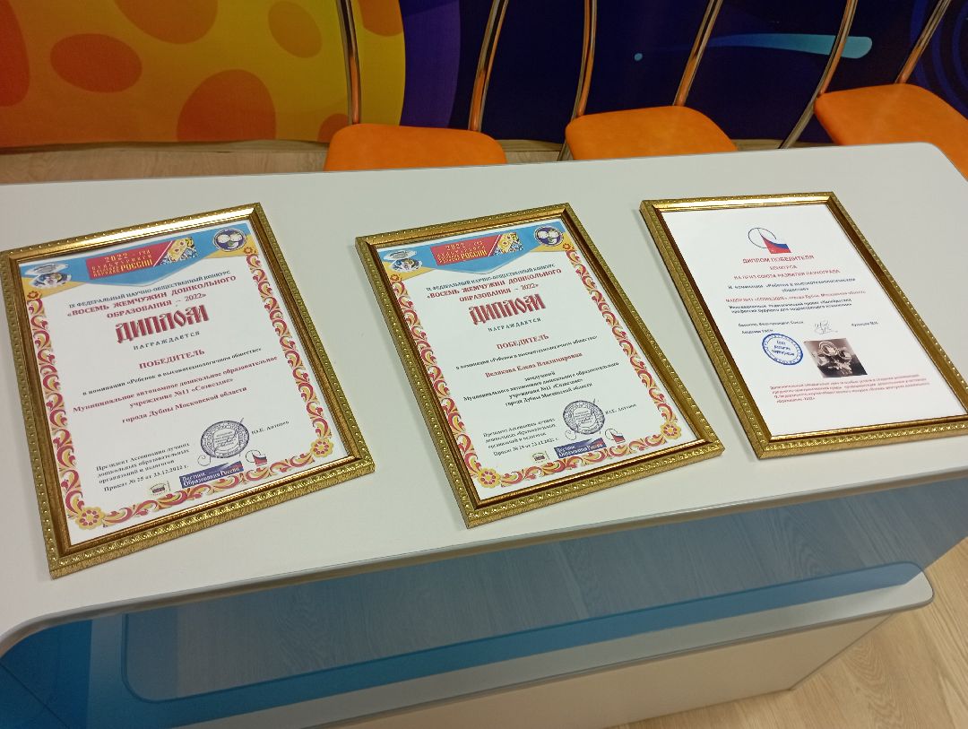 Дубна, общество