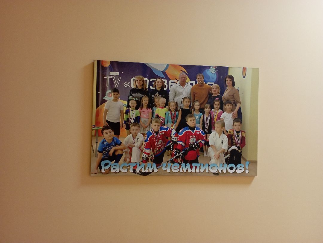 Дубна, общество