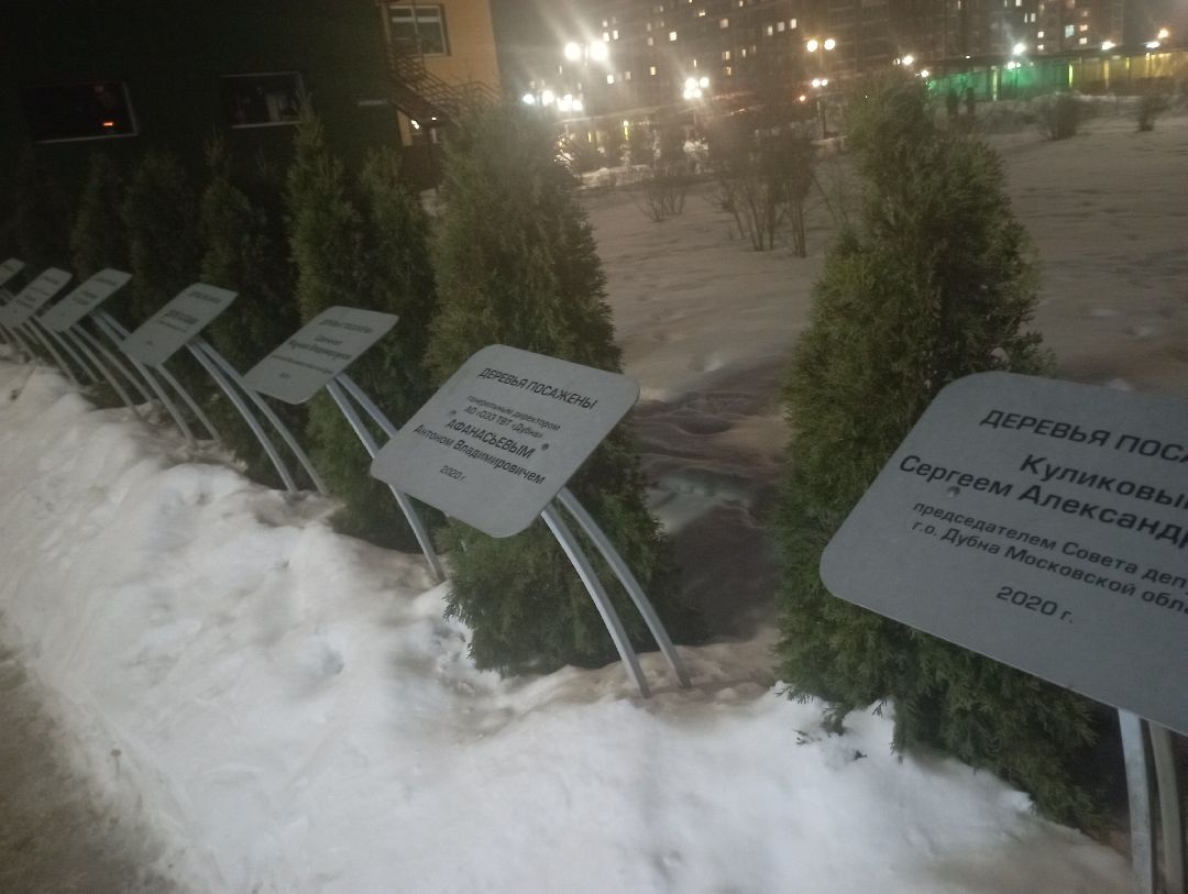 Дубна, общество