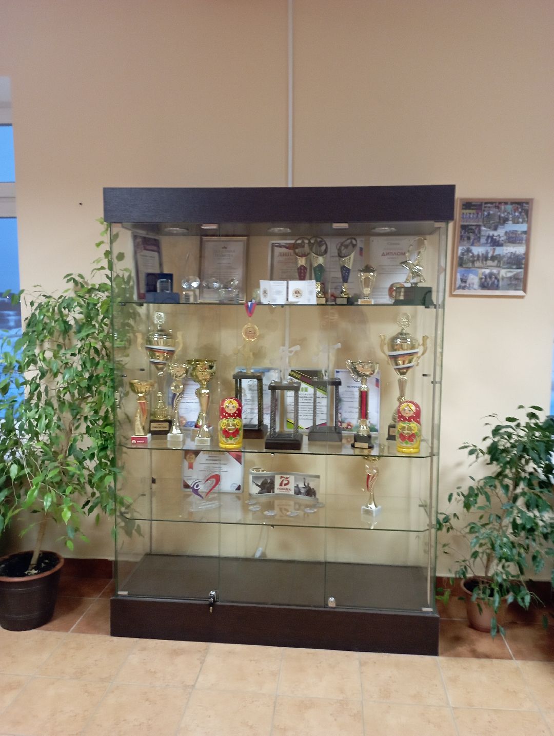 Дубна, общество