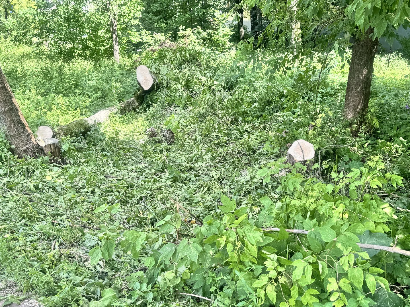 Солнечногорск, Последствия урагана, уборка детских площадок, спил деревьев, подтопление,