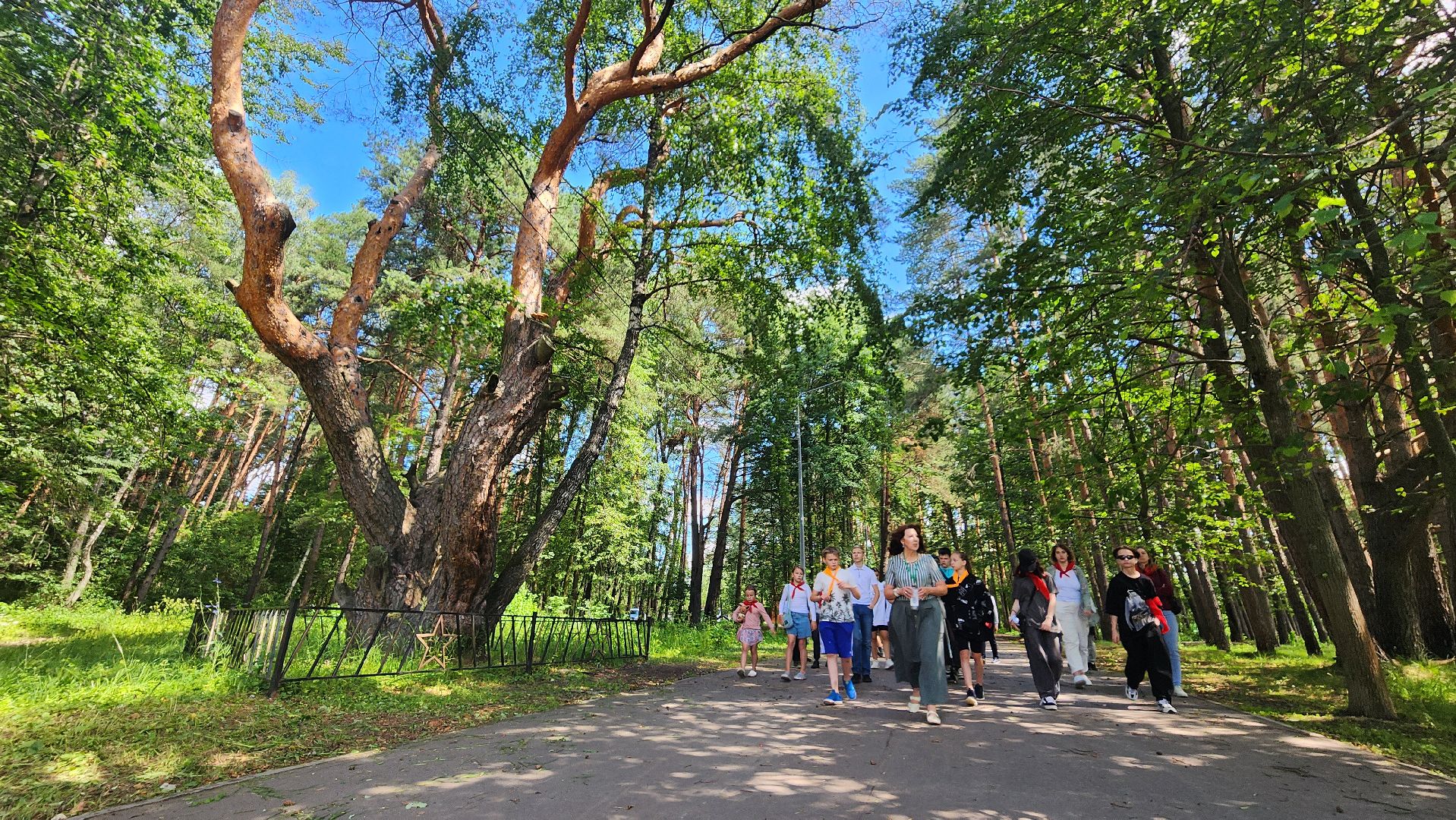 день памяти и скорби, Протвино, рубеж обороны, ЦБС, Память,