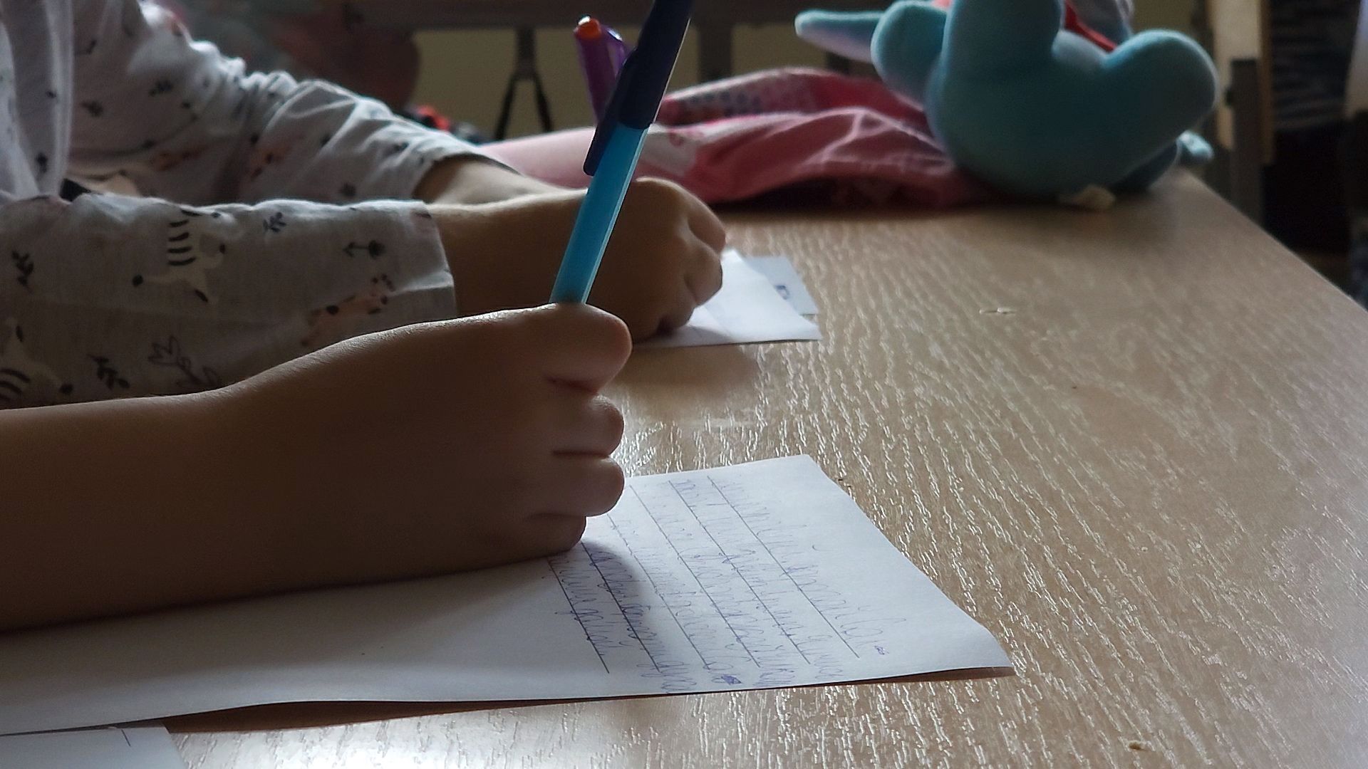 Одинцово, Лесной городок, школа, летний лагерь,