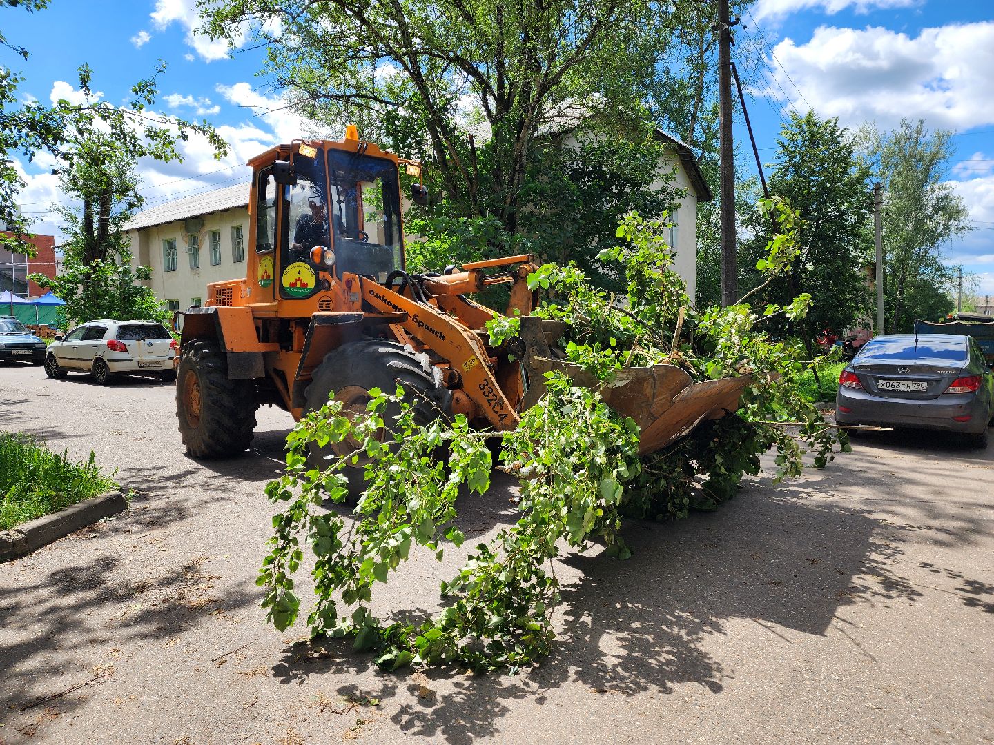 красноармейск, г.о. пушкинский, ураган эдгар, последствия урагана,