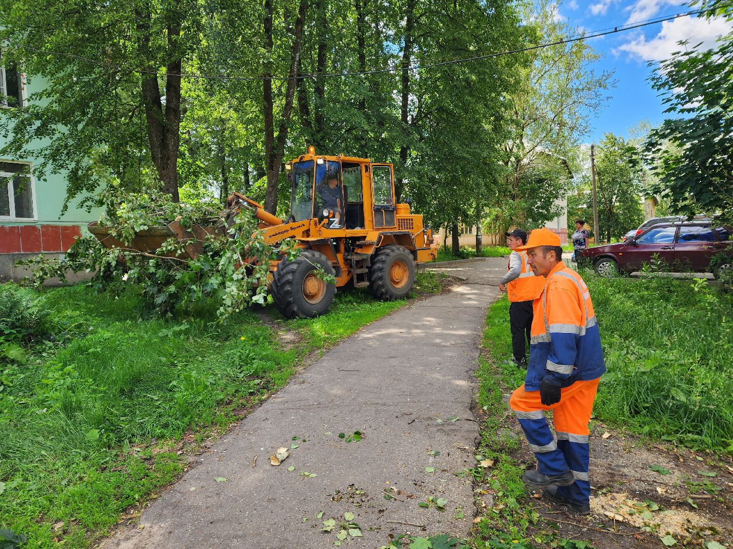 красноармейск, г.о. пушкинский, ураган эдгар, последствия урагана,
