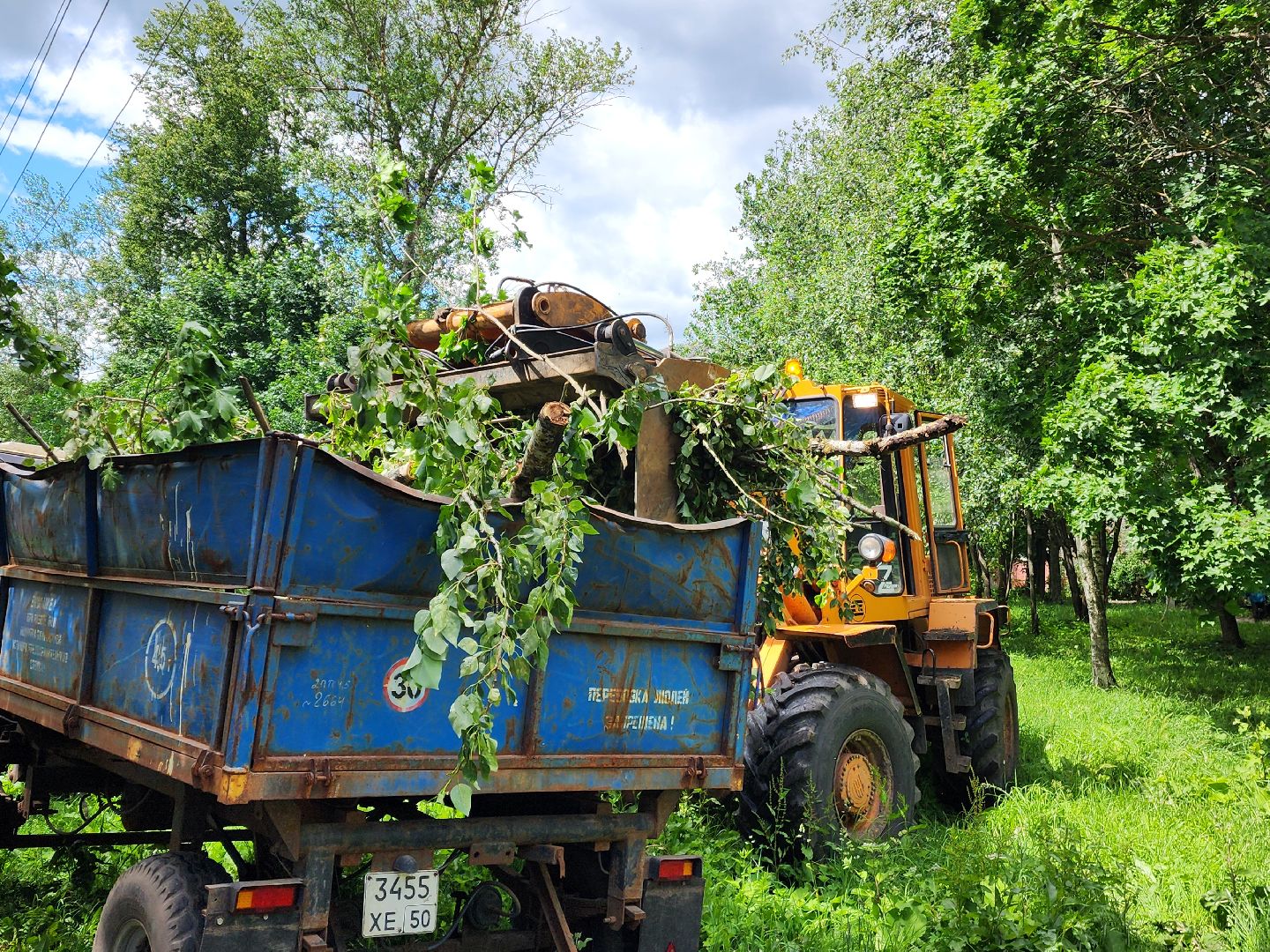 красноармейск, г.о. пушкинский, ураган эдгар, последствия урагана,
