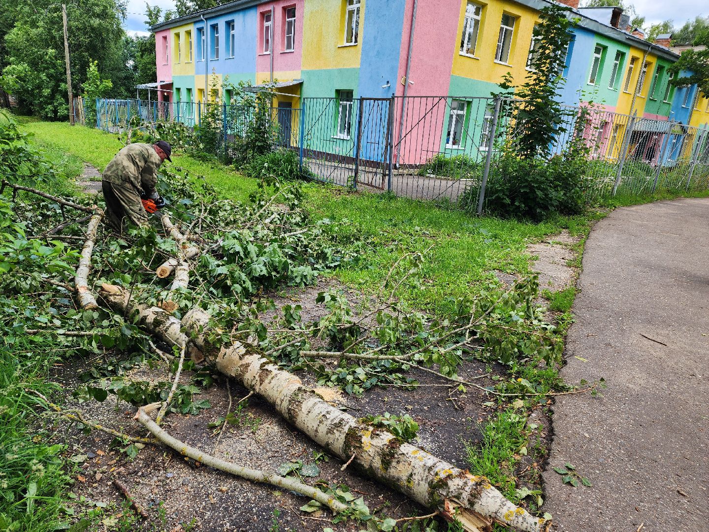красноармейск, г.о. пушкинский, ураган эдгар, последствия урагана,