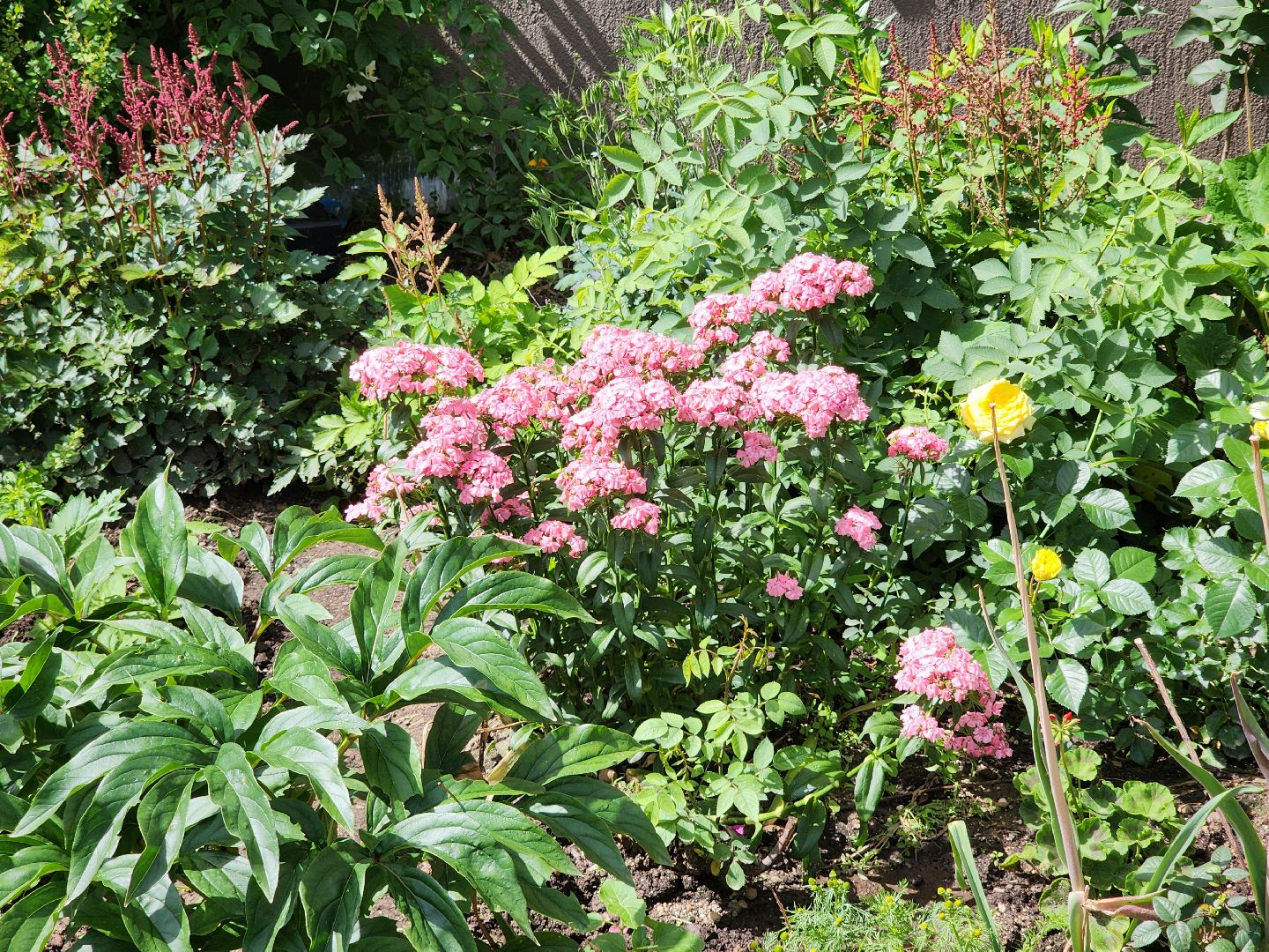 Звенигород, благоустройство, дворы, детские игровые площадки,