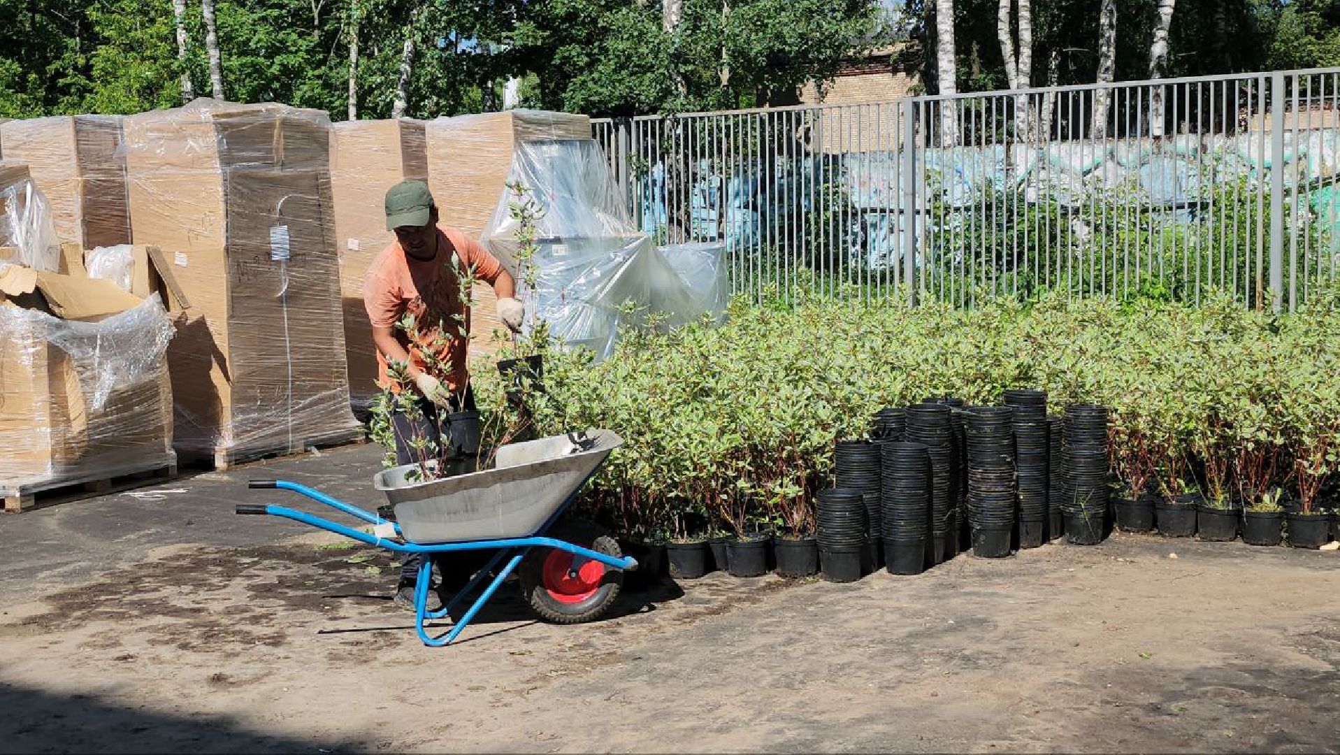 люберцы, глава городского округа люберцы владимир волков, новая школа,