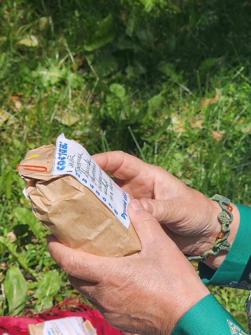 йога, День йоги, Дыхательные практики, мытищи, Йога для детей,