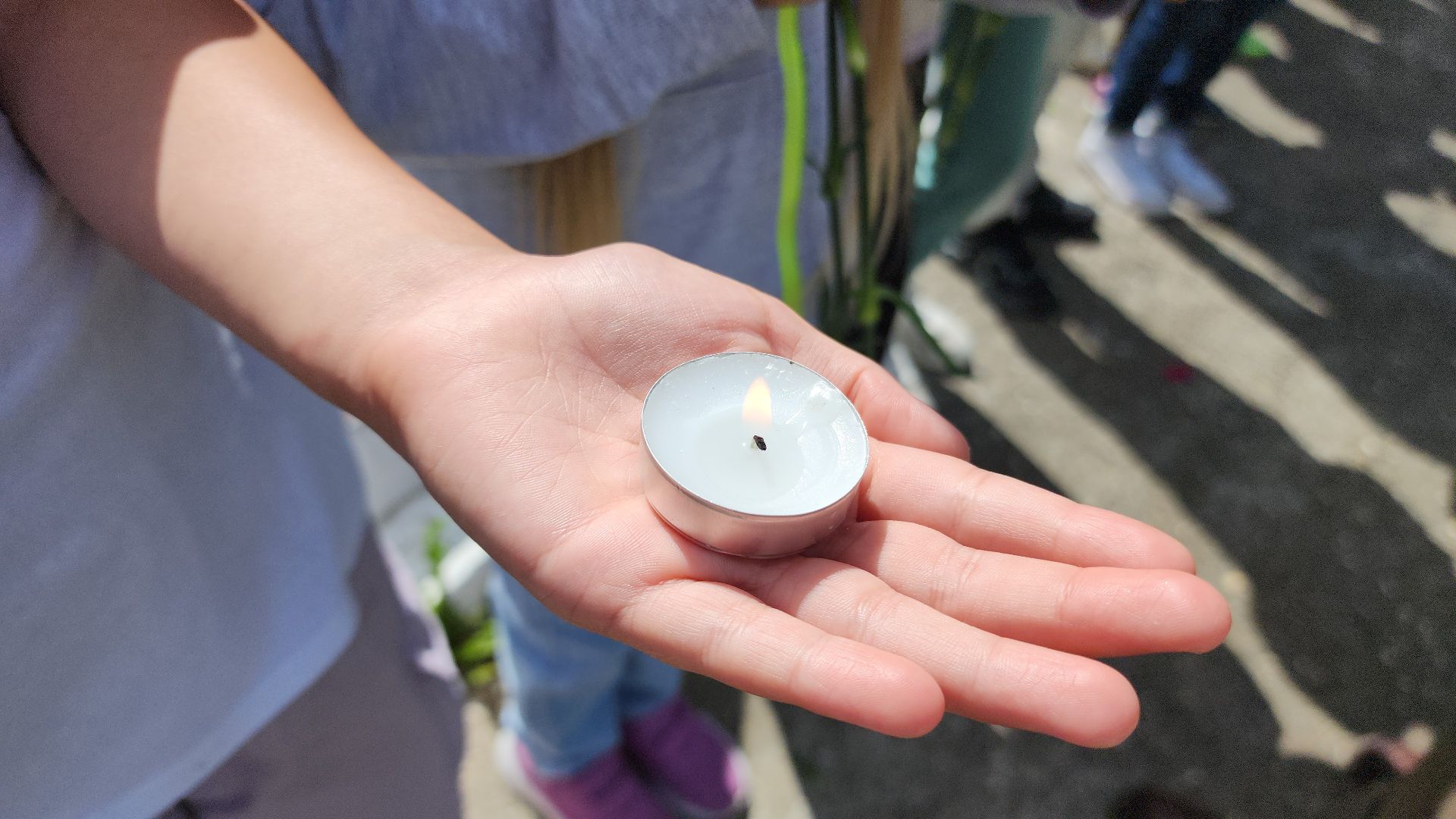 шатура, петровское, вов, день памяти и скорби,