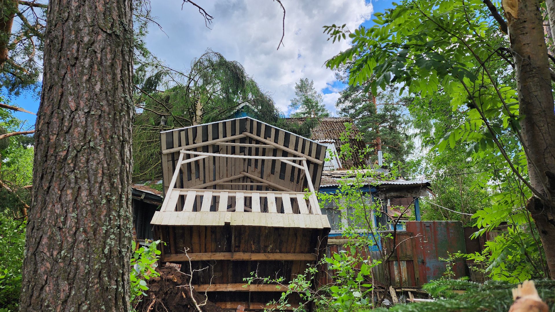 Солнечногорск, погода, стихия, ураган Эдгар,