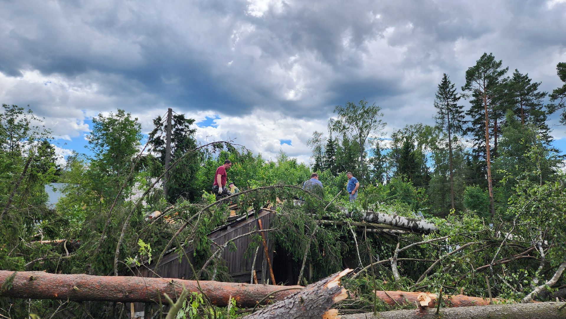 Солнечногорск, погода, стихия, ураган Эдгар,