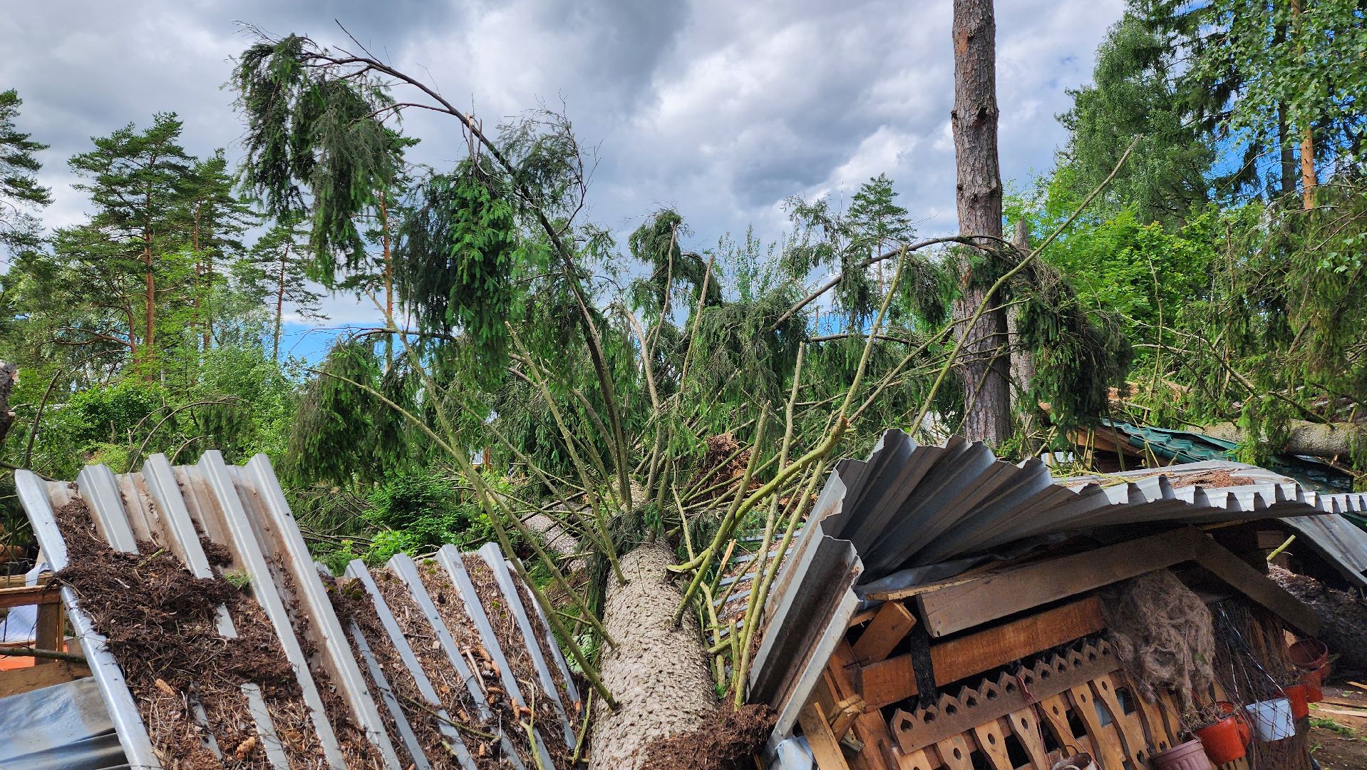 Солнечногорск, погода, стихия, ураган Эдгар,