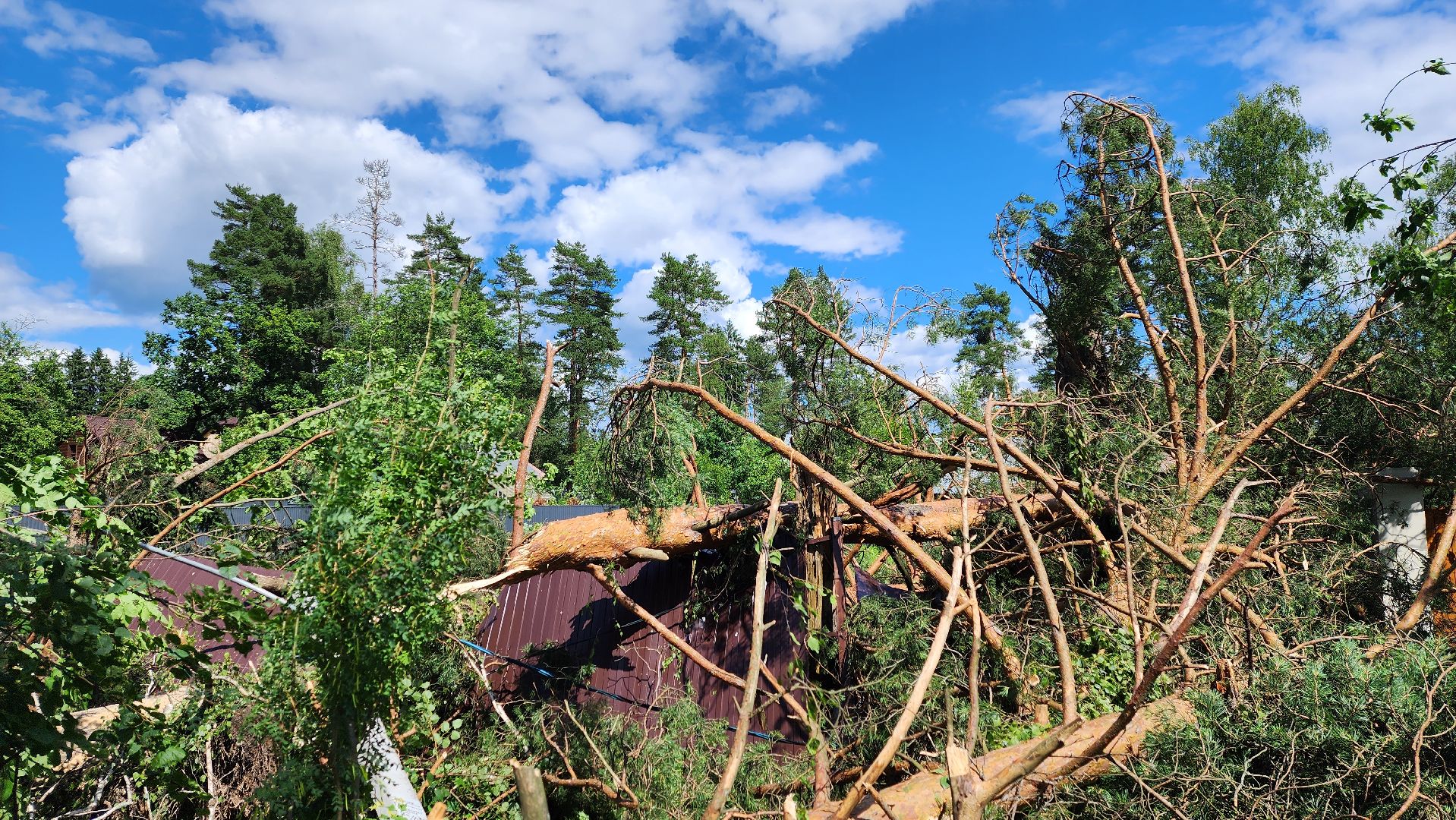 Солнечногорск, погода, стихия, ураган Эдгар,