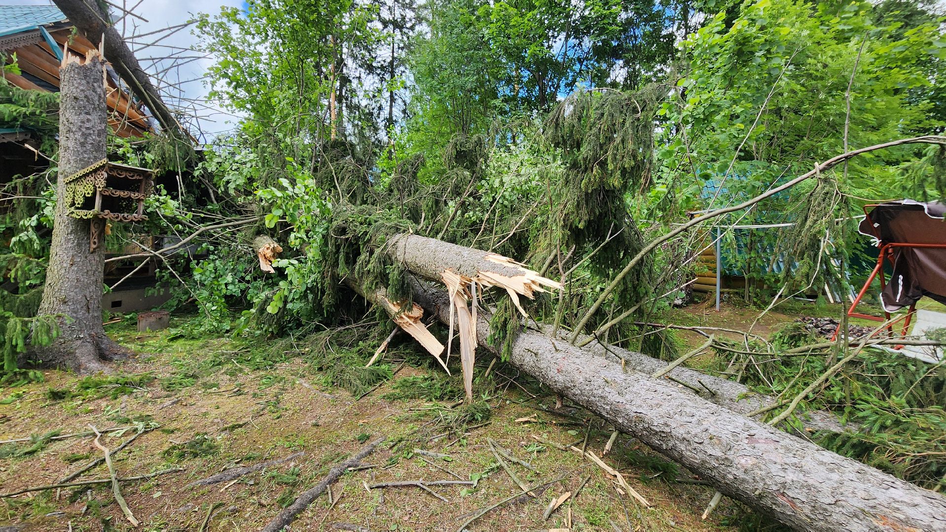 Солнечногорск, погода, стихия, ураган Эдгар,