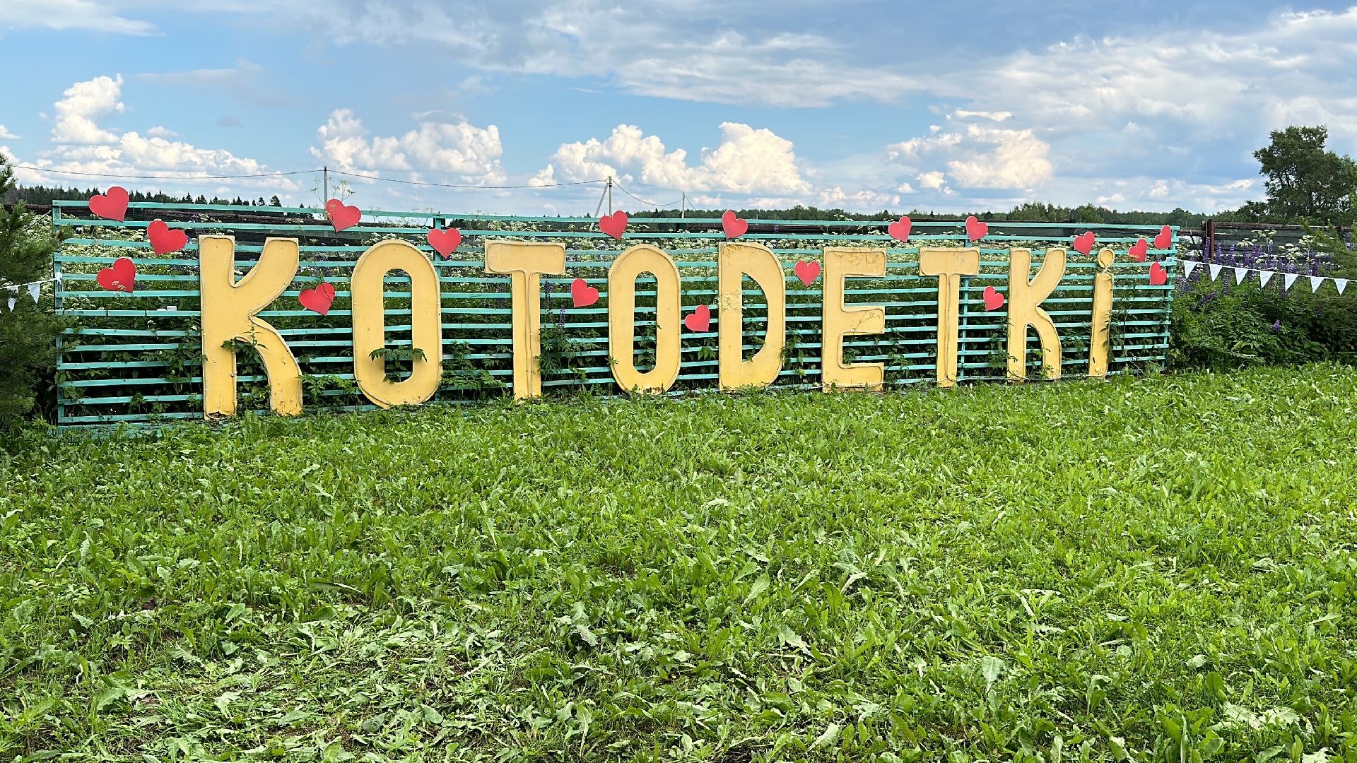 Клин, общество, благотворительность, волонтеры,