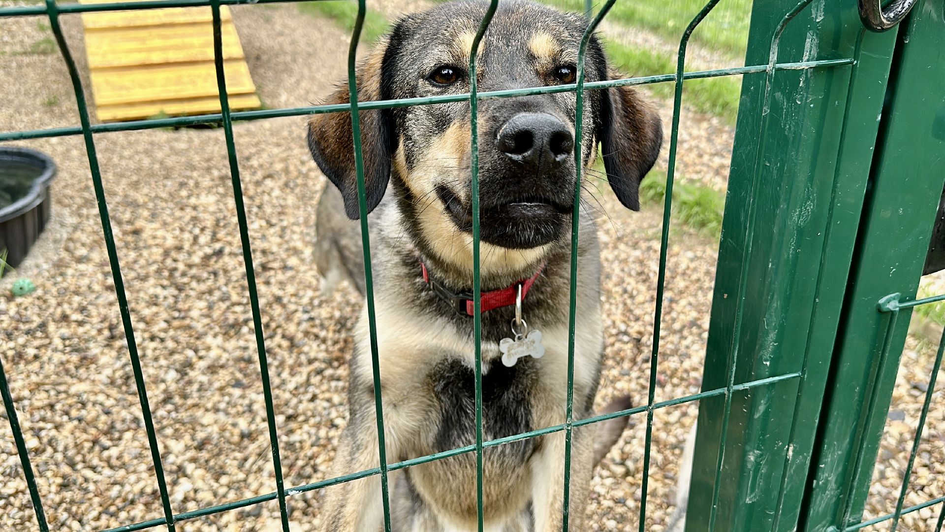 Клин, общество, благотворительность, волонтеры,