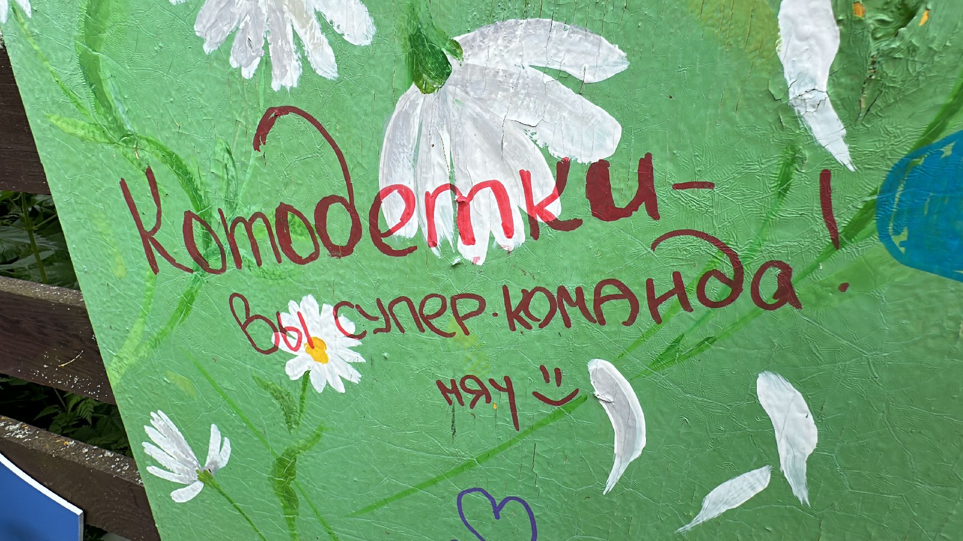 Клин, общество, благотворительность, волонтеры,