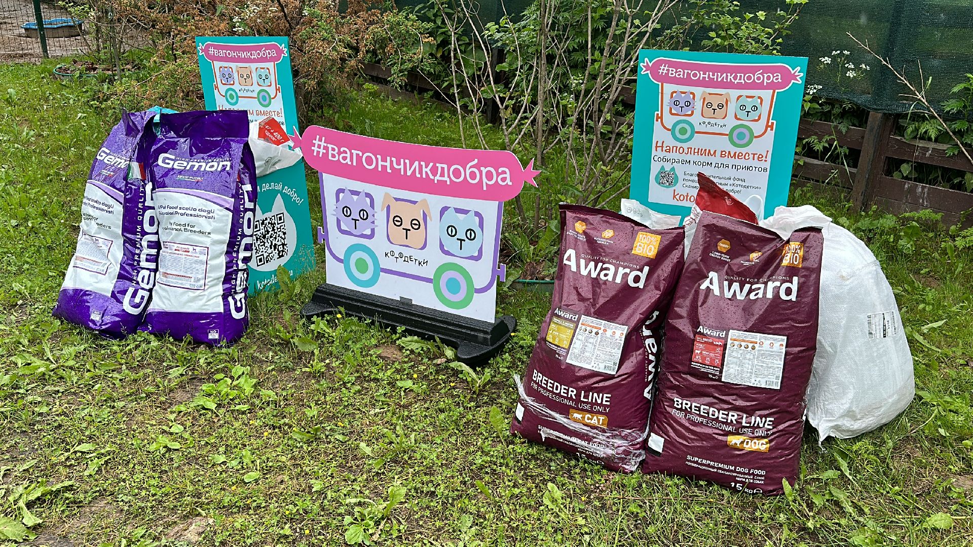 Клин, общество, благотворительность, волонтеры,