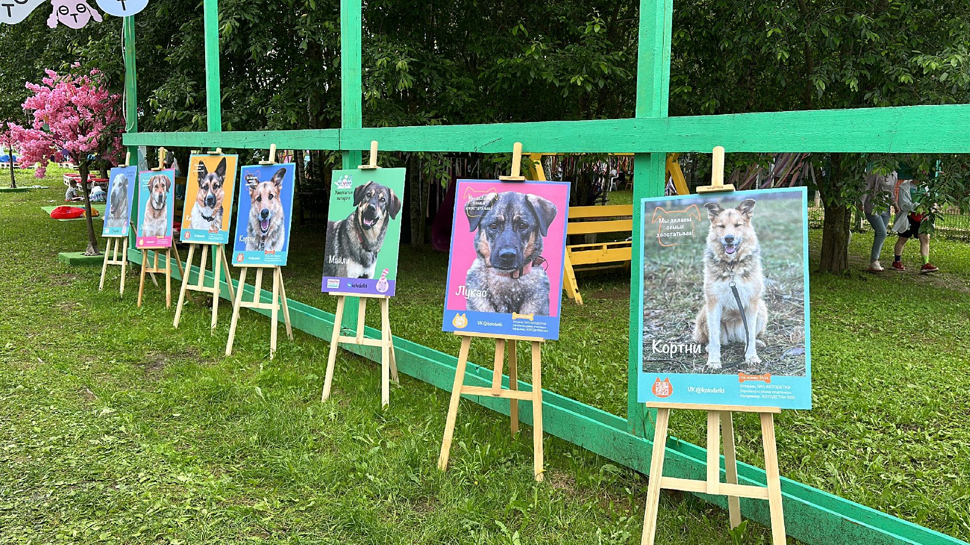 Клин, общество, благотворительность, волонтеры,