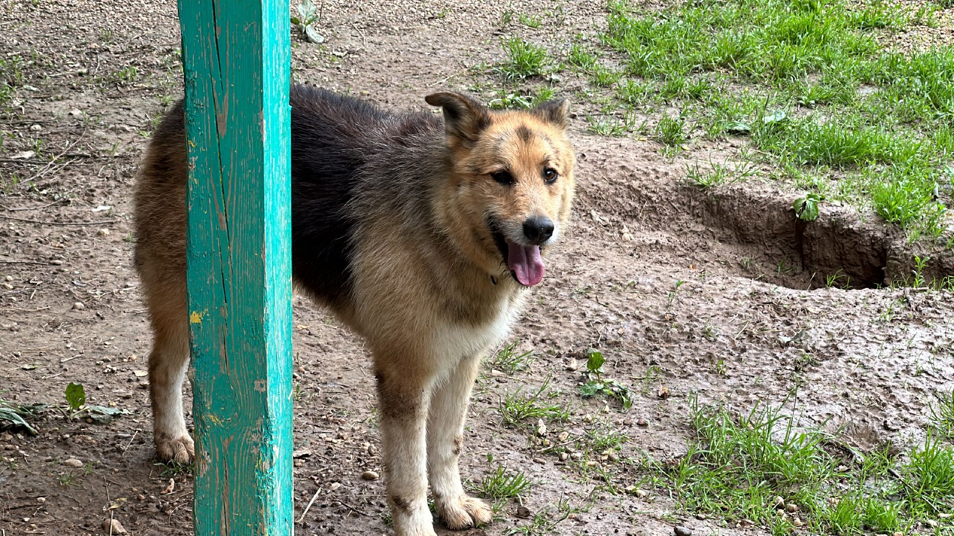 Клин, общество, благотворительность, волонтеры,