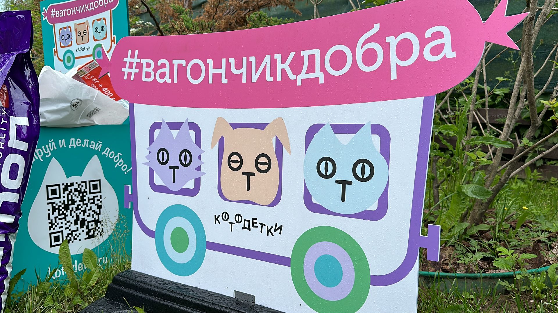 Клин, общество, благотворительность, волонтеры,