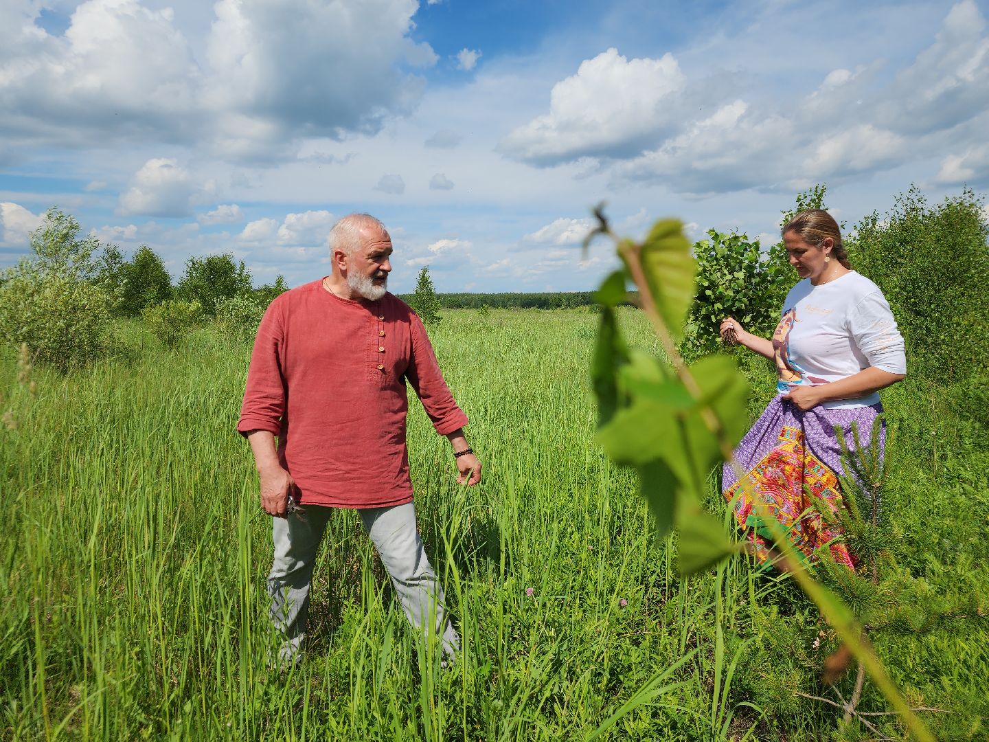 ступино, баня, хобби,