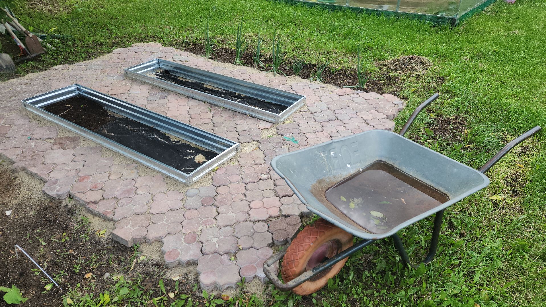 ивантеевка, теплица, центр социального обслуживания, социализация детей, социальная адаптация, овощи, растения,