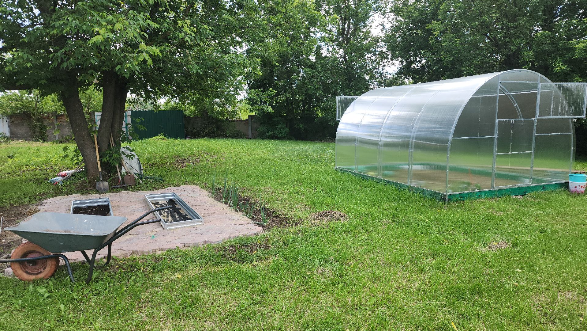 ивантеевка, теплица, центр социального обслуживания, социализация детей, социальная адаптация, овощи, растения,