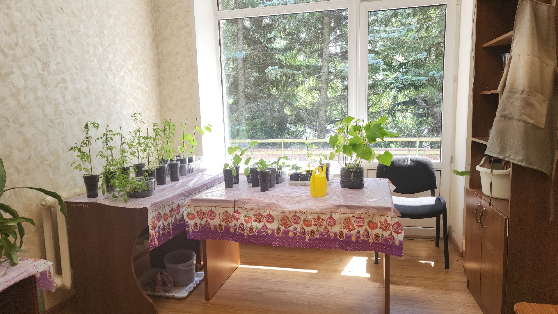 ивантеевка, теплица, центр социального обслуживания, социализация детей, социальная адаптация, овощи, растения,