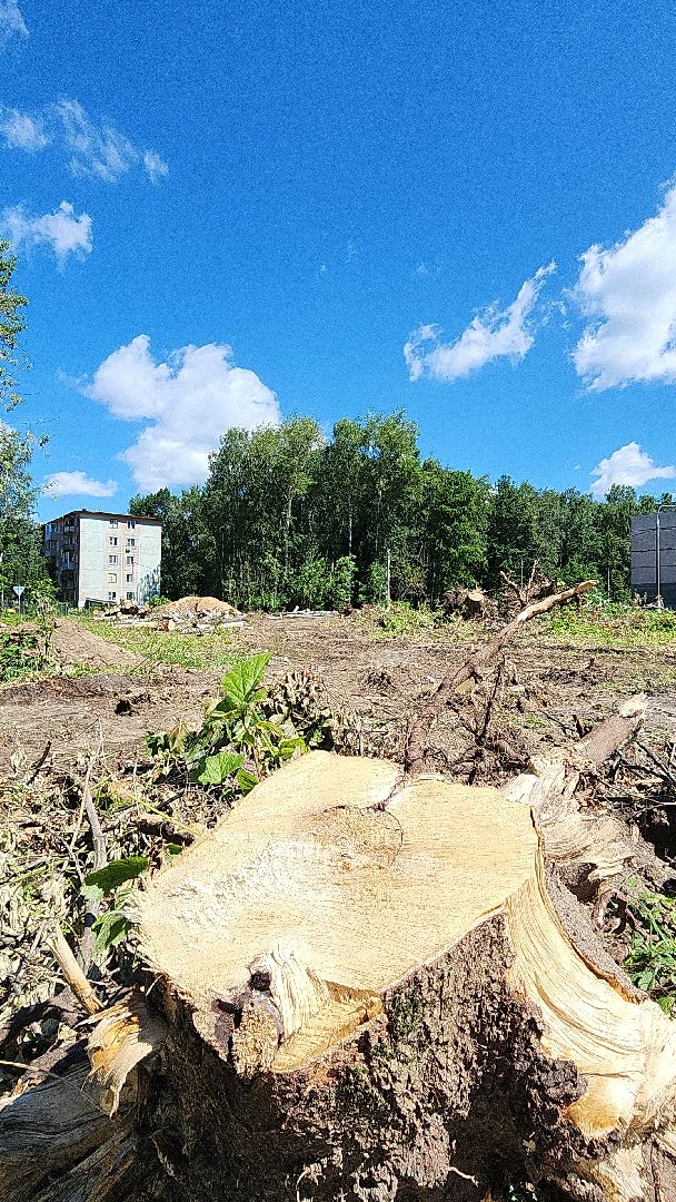 электросталь, образование, открытый стадион, благоустройство, школьный стадион, строительство, мой город,