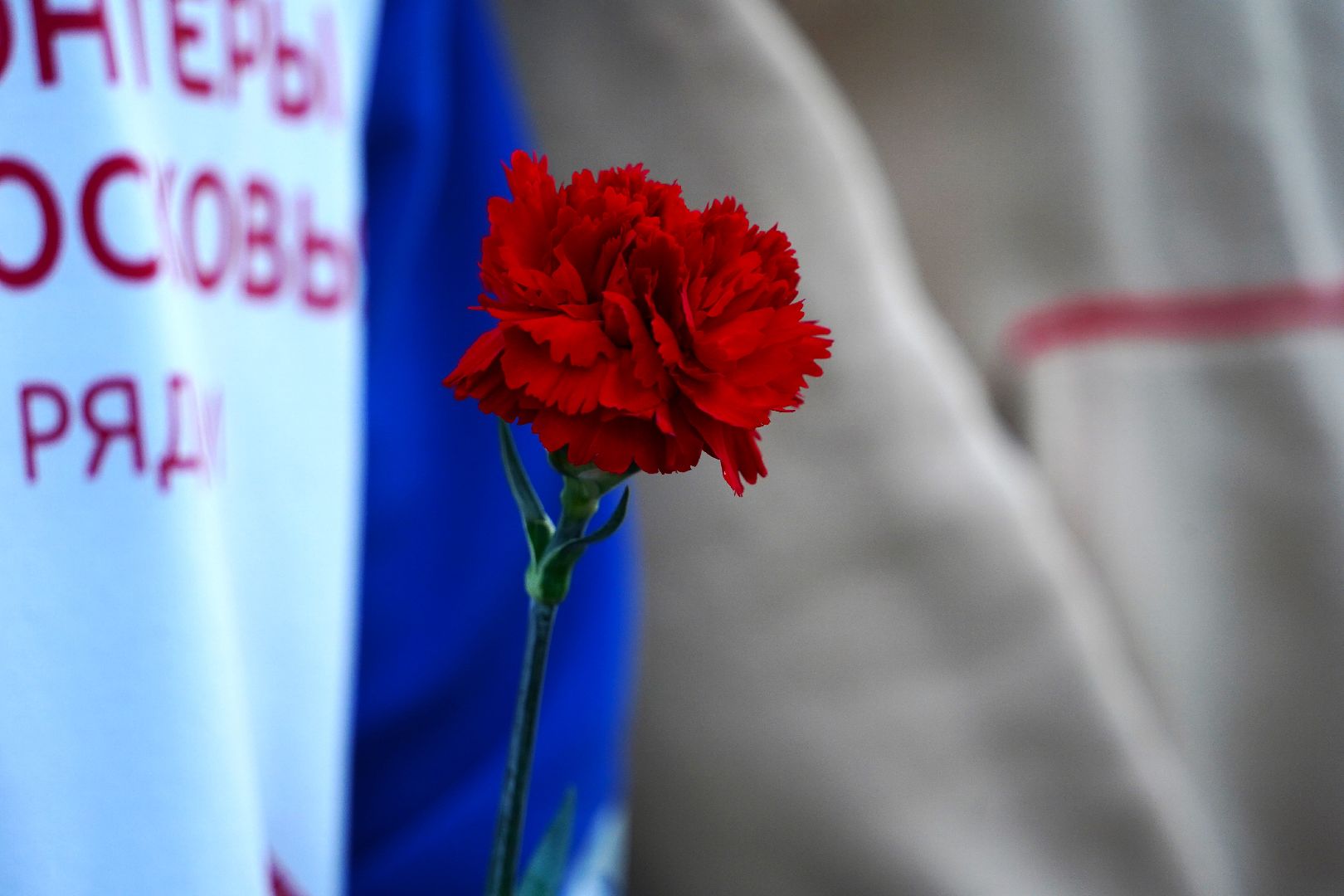 свеча памяти, день памяти и скорби, памятная дата, Рошаль помнит, Большая Шатура, рошаль,