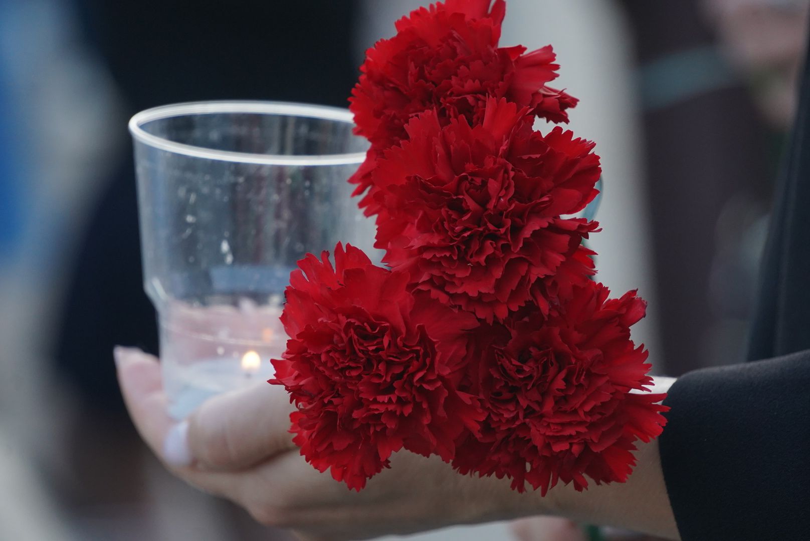 Павловский Посад, Городской округ Павловский Посад, Жители, Память, Акция, Свеча памяти,