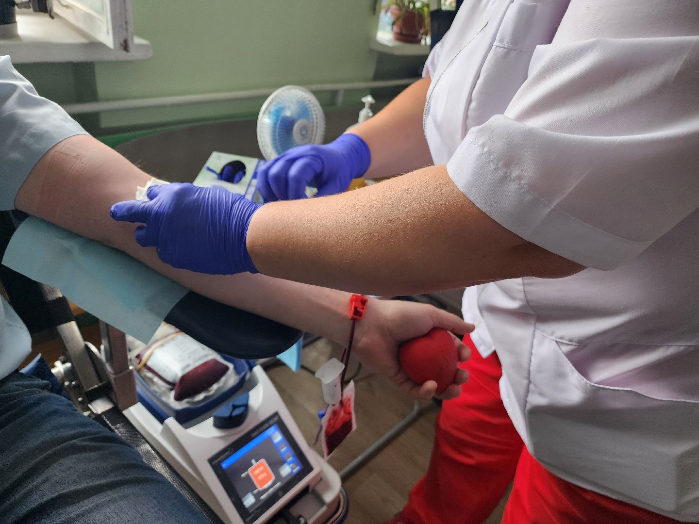 красноармейск, г.о. пушкинский, донорская акция, медсанчасть,