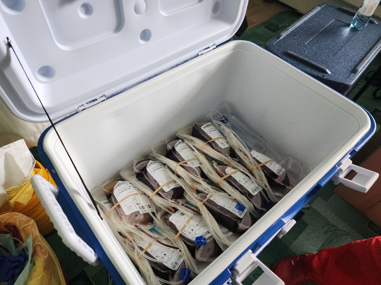 красноармейск, г.о. пушкинский, донорская акция, медсанчасть,