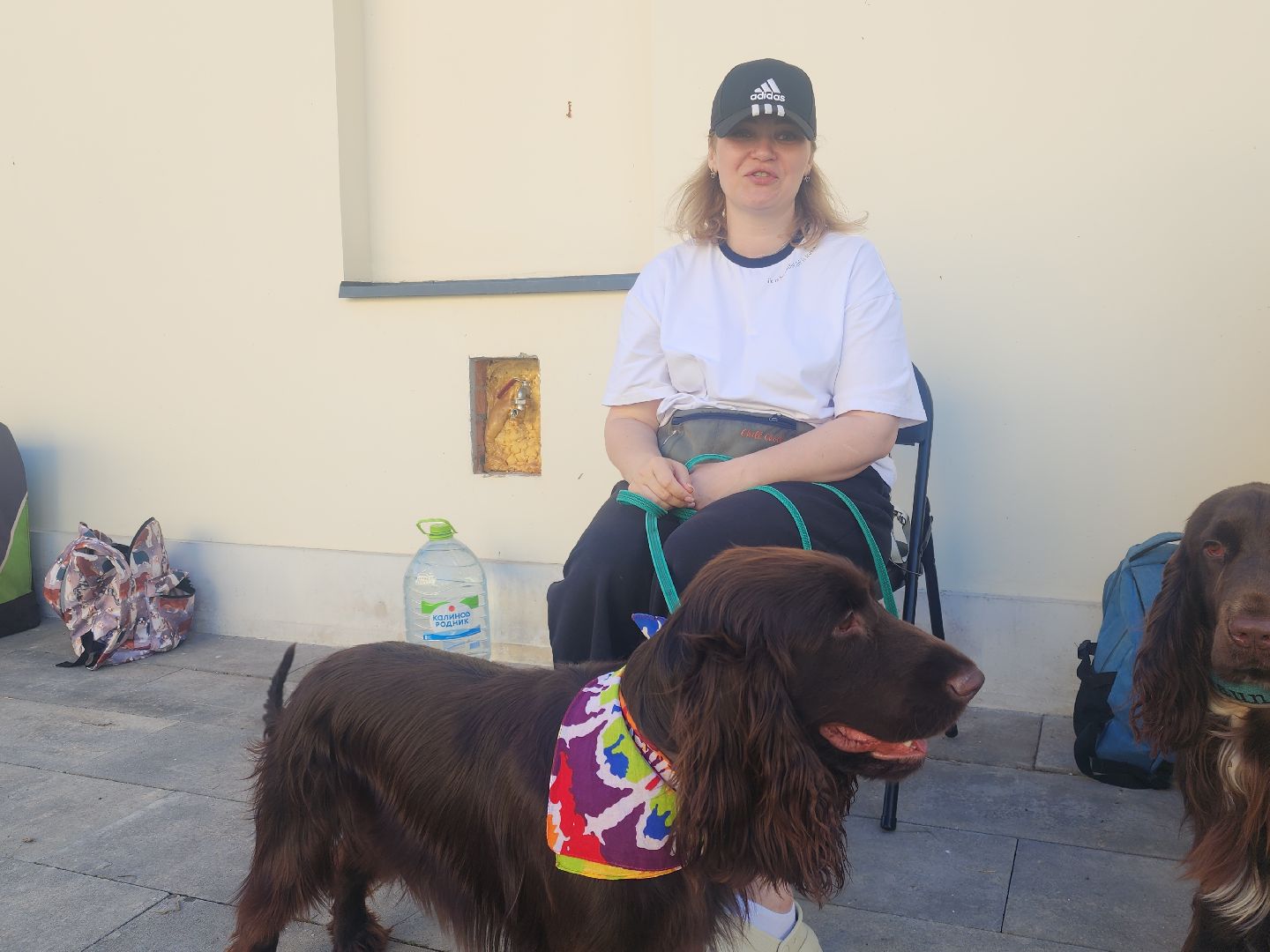 Звенигород, Общество,