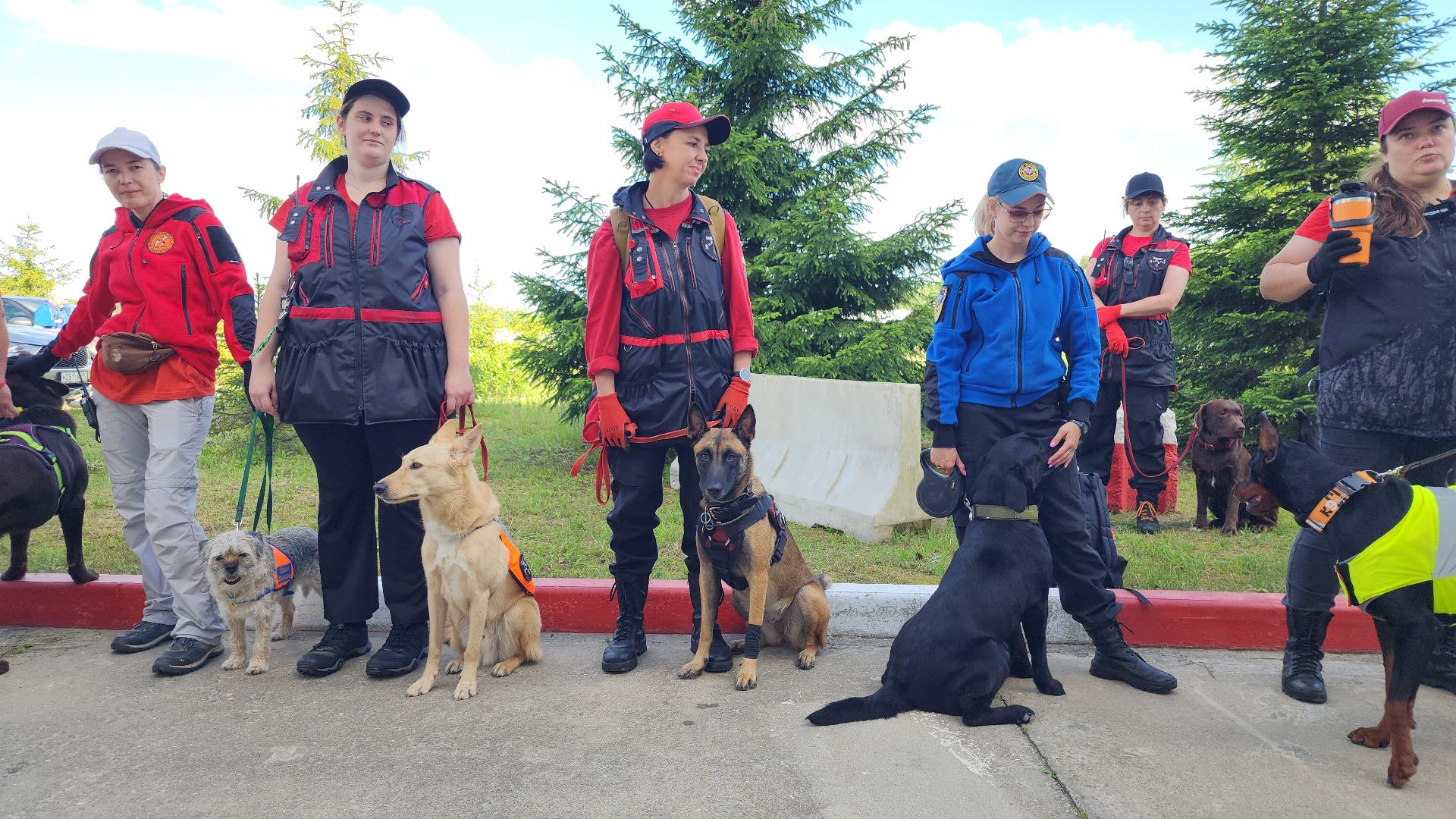 поисковые учения, Национальный центр помощи потерявшимся и пострадавшим детям, волонтеры-поисковики, Ногинск, Богородский городской округ,