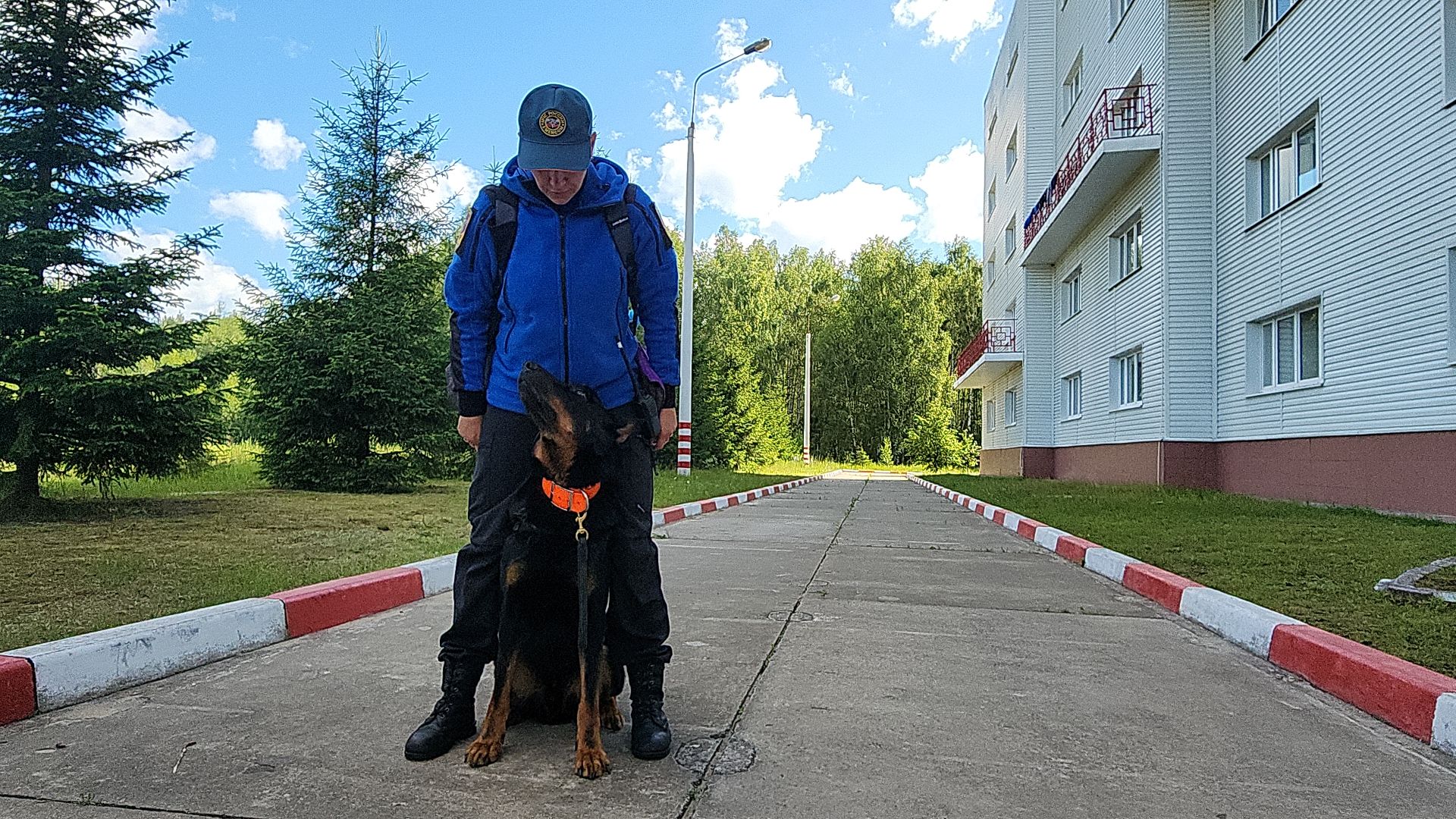 поисковые учения, Национальный центр помощи потерявшимся и пострадавшим детям, волонтеры-поисковики, Ногинск, Богородский городской округ,