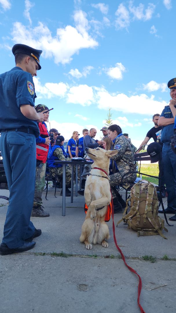 поисковые учения, Национальный центр помощи потерявшимся и пострадавшим детям, волонтеры-поисковики, Ногинск, Богородский городской округ,