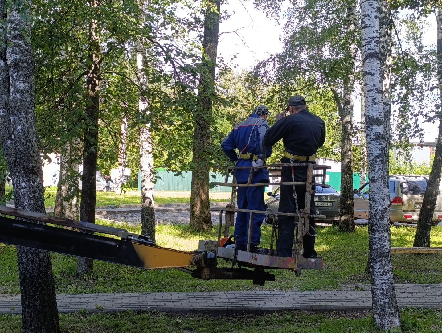 Бронницы, Опиловка деревьев, Строительная 13,Удаление деревьев, МБУ Благоустройство,